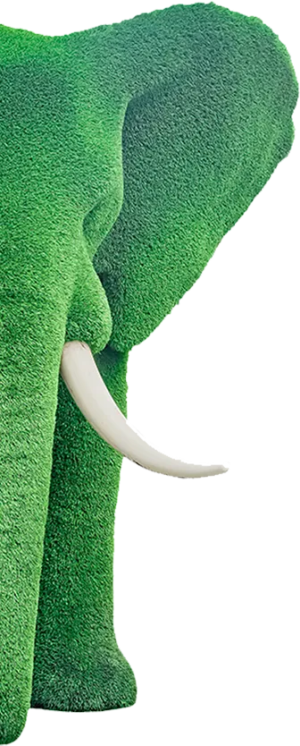 Contacto Césped verdePRO