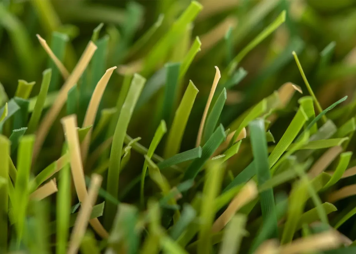 Detalle de Césped artificial verdePRO Deluxe 45mm