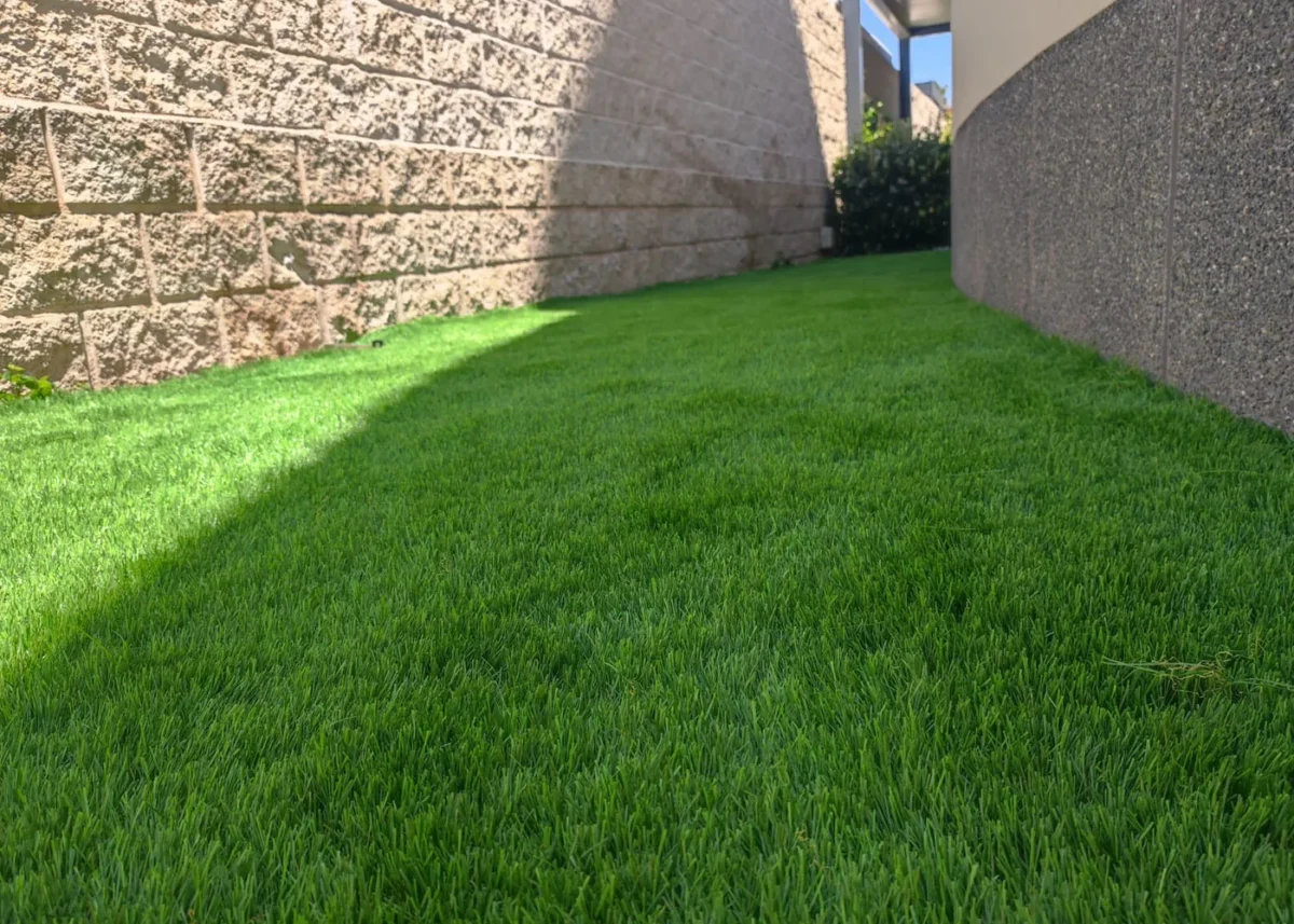 Proyecto Deluxe 45 mm