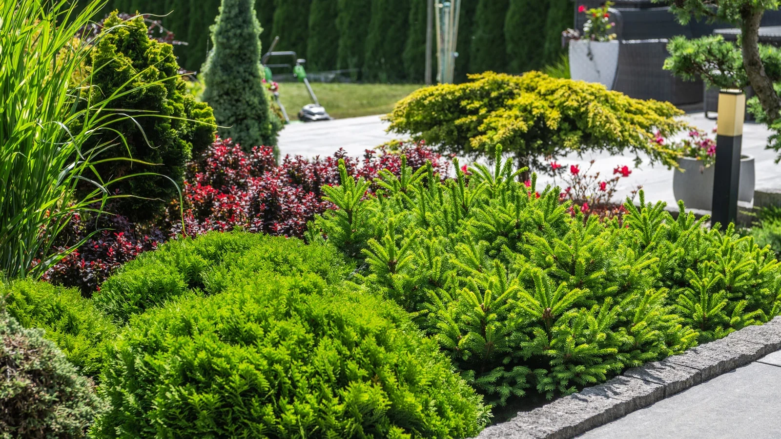 Diseño jardines y paisajismo verdePRO